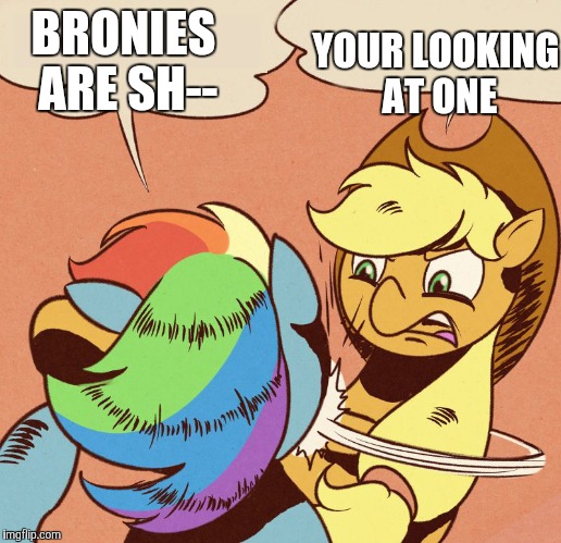 Apple Jack slapping Rainbow Dash | YOUR LOOKING AT ONE; BRONIES ARE SH-- | image tagged in apple jack slapping rainbow dash | made w/ Imgflip meme maker