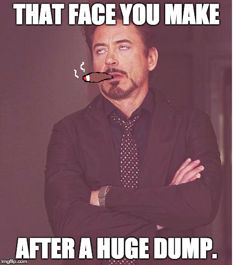 Face You Make Robert Downey Jr | THAT FACE YOU MAKE; AFTER A HUGE DUMP. | image tagged in memes,face you make robert downey jr | made w/ Imgflip meme maker