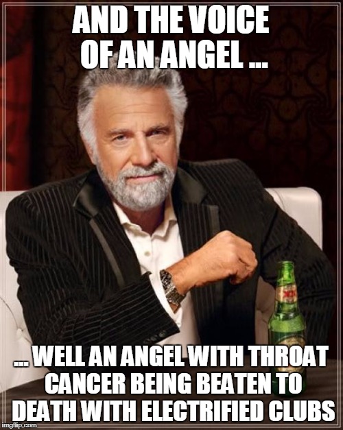 The Most Interesting Man In The World Meme | AND THE VOICE OF AN ANGEL ... ... WELL AN ANGEL WITH THROAT CANCER BEING BEATEN TO DEATH WITH ELECTRIFIED CLUBS | image tagged in memes,the most interesting man in the world | made w/ Imgflip meme maker