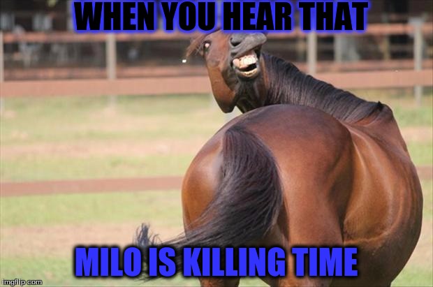 funny horse | WHEN YOU HEAR THAT; MILO IS KILLING TIME | image tagged in funny horse | made w/ Imgflip meme maker