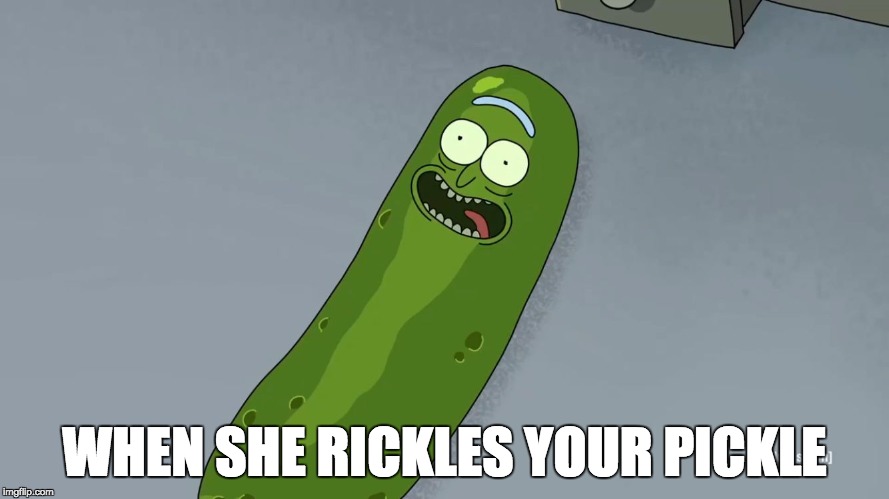 Pickle Rick |  WHEN SHE RICKLES YOUR PICKLE | image tagged in pickle rick | made w/ Imgflip meme maker