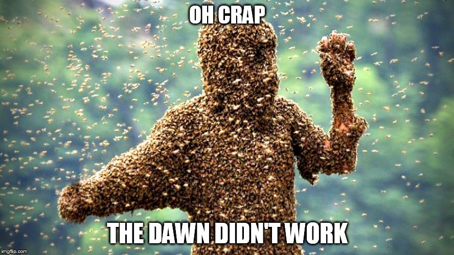 Killer Bees | OH CRAP; THE DAWN DIDN'T WORK | image tagged in killer bees | made w/ Imgflip meme maker