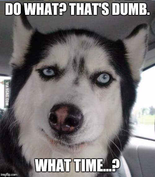 DO WHAT? THAT'S DUMB. WHAT TIME...? | made w/ Imgflip meme maker