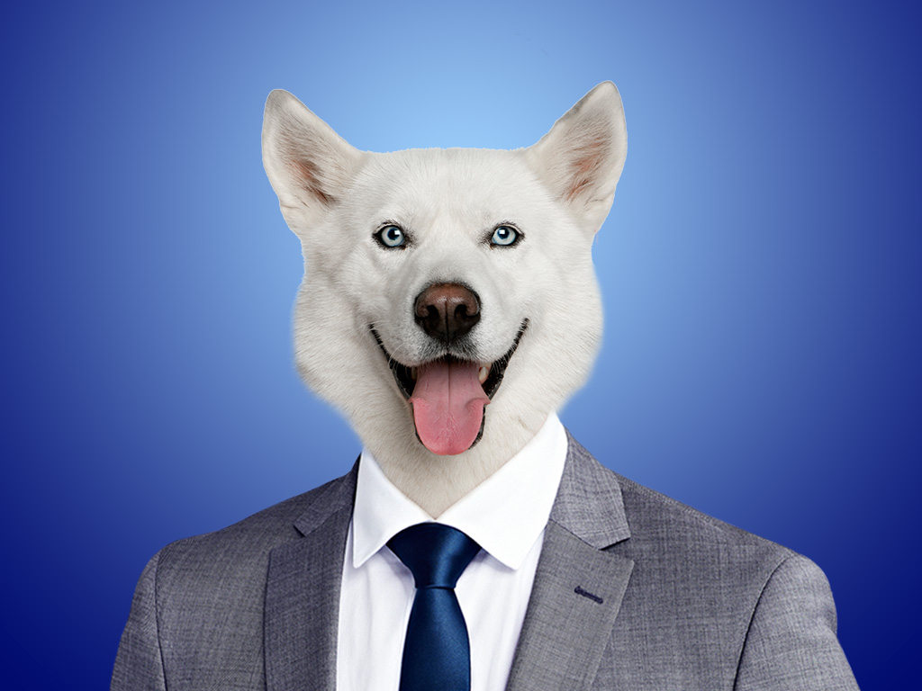 Business dog Blank Meme Template