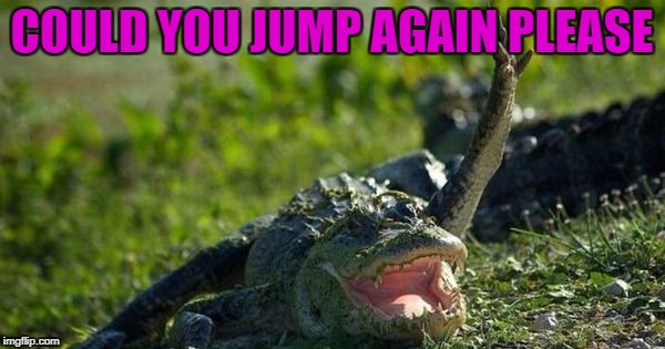 COULD YOU JUMP AGAIN PLEASE | made w/ Imgflip meme maker