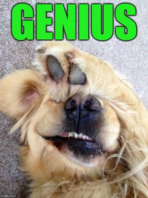 GENIUS | made w/ Imgflip meme maker
