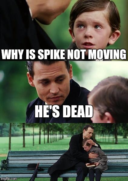 Finding Neverland Meme | WHY IS SPIKE NOT MOVING; HE'S DEAD | image tagged in memes,finding neverland | made w/ Imgflip meme maker