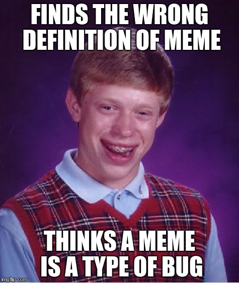 Bad Luck Brian Meme | FINDS THE WRONG DEFINITION OF MEME THINKS A MEME IS A TYPE OF BUG | image tagged in memes,bad luck brian | made w/ Imgflip meme maker