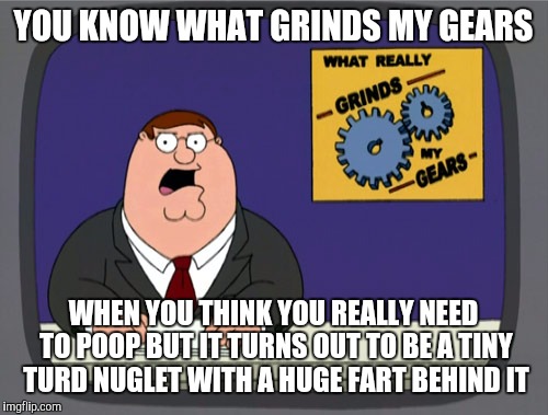 Peter Griffin News | YOU KNOW WHAT GRINDS MY GEARS; WHEN YOU THINK YOU REALLY NEED TO POOP BUT IT TURNS OUT TO BE A TINY TURD NUGLET WITH A HUGE FART BEHIND IT | image tagged in memes,peter griffin news | made w/ Imgflip meme maker
