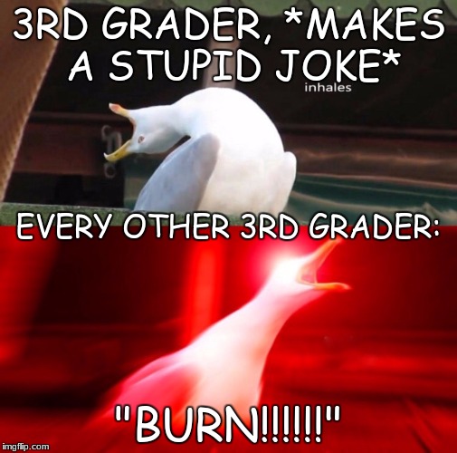 so true it hurts | 3RD GRADER, *MAKES A STUPID JOKE*; EVERY OTHER 3RD GRADER:; "BURN!!!!!!" | image tagged in inhales,memes | made w/ Imgflip meme maker