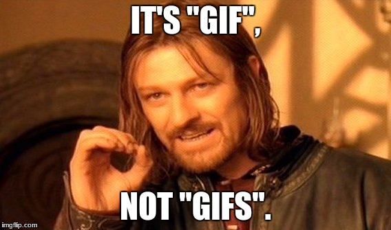 One Does Not Simply Meme | IT'S "GIF", NOT "GIFS". | image tagged in memes,one does not simply | made w/ Imgflip meme maker