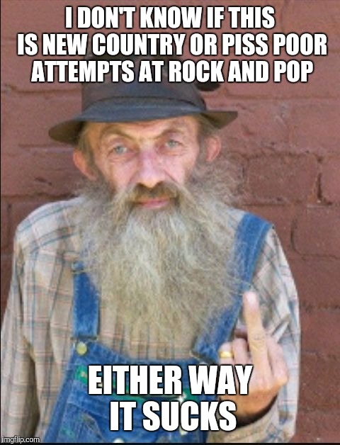 What The Hell Is This |  I DON'T KNOW IF THIS IS NEW COUNTRY OR PISS POOR ATTEMPTS AT ROCK AND POP; EITHER WAY IT SUCKS | image tagged in hillbilly,funny memes | made w/ Imgflip meme maker