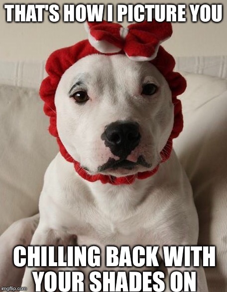 THAT'S HOW I PICTURE YOU CHILLING BACK WITH YOUR SHADES ON | made w/ Imgflip meme maker