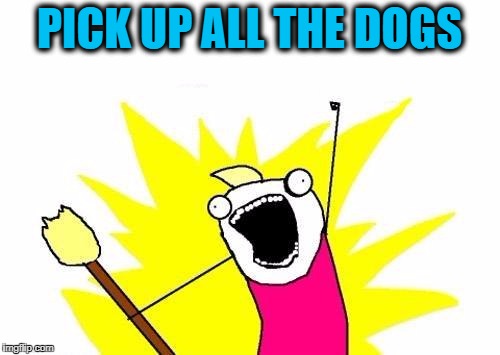 X All The Y Meme | PICK UP ALL THE DOGS | image tagged in memes,x all the y | made w/ Imgflip meme maker