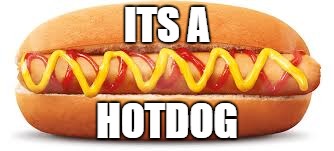 ITS A HOT DOG | ITS A; HOTDOG | image tagged in hotdog | made w/ Imgflip meme maker