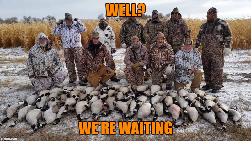 WELL? WE'RE WAITING | made w/ Imgflip meme maker