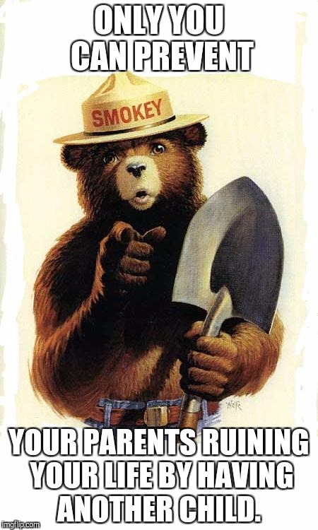 Smokey The Bear | ONLY YOU CAN PREVENT; YOUR PARENTS RUINING YOUR LIFE BY HAVING ANOTHER CHILD. | image tagged in smokey the bear | made w/ Imgflip meme maker