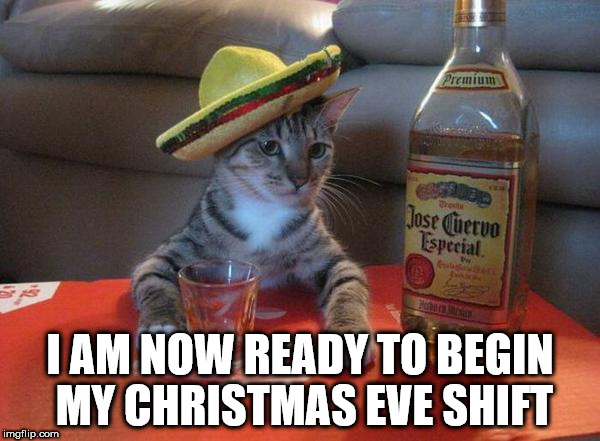 alcohol cat | I AM NOW READY TO BEGIN MY CHRISTMAS EVE SHIFT | image tagged in alcohol cat | made w/ Imgflip meme maker