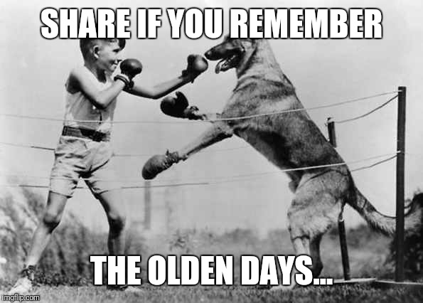 SHARE IF YOU REMEMBER; THE OLDEN DAYS... | image tagged in dogfight | made w/ Imgflip meme maker