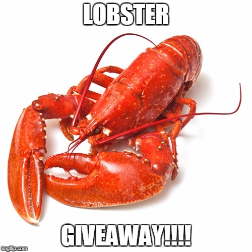 Lobster | LOBSTER; GIVEAWAY!!!! | image tagged in lobster | made w/ Imgflip meme maker