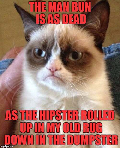 It Really Pulled The Room Together Man |  THE MAN BUN IS AS DEAD; AS THE HIPSTER ROLLED UP IN MY OLD RUG DOWN IN THE DUMPSTER | image tagged in memes,grumpy cat,man bun,hipsters,dumpster fire,bald is beautiful | made w/ Imgflip meme maker