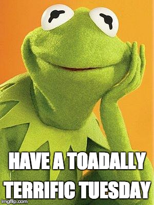 Kermit the frog | TERRIFIC TUESDAY; HAVE A TOADALLY | image tagged in kermit the frog | made w/ Imgflip meme maker