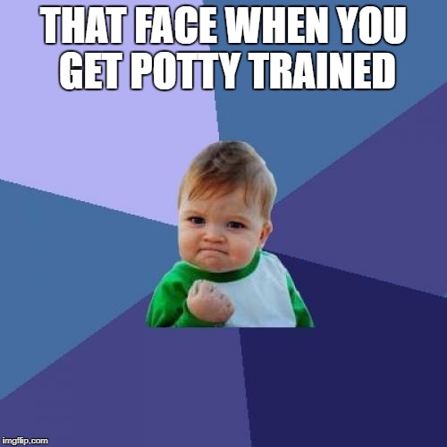 Success Kid Meme | THAT FACE WHEN YOU GET POTTY TRAINED | image tagged in memes,success kid | made w/ Imgflip meme maker