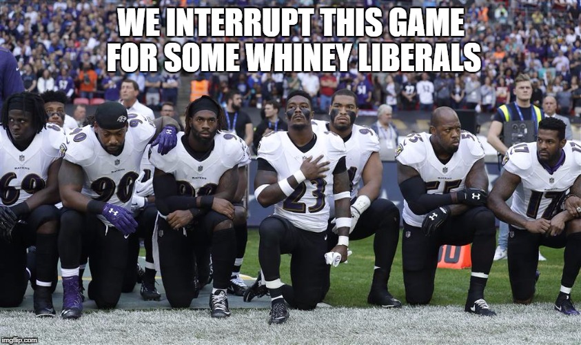 WE INTERRUPT THIS GAME FOR SOME WHINEY LIBERALS | image tagged in liberals,stupid liberals | made w/ Imgflip meme maker