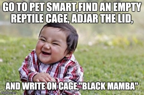 Evil Toddler Meme | GO TO PET SMART,FIND AN EMPTY REPTILE CAGE, ADJAR THE LID, AND WRITE ON CAGE,"BLACK MAMBA" | image tagged in memes,evil toddler | made w/ Imgflip meme maker