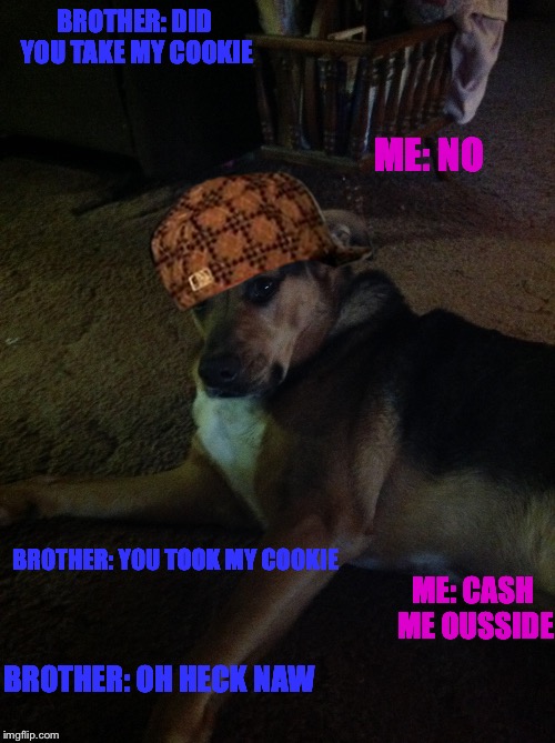 Douchebag Dawg | BROTHER: DID YOU TAKE MY COOKIE; ME: NO; BROTHER: YOU TOOK MY COOKIE; ME: CASH ME OUSSIDE; BROTHER: OH HECK NAW | image tagged in cookies | made w/ Imgflip meme maker