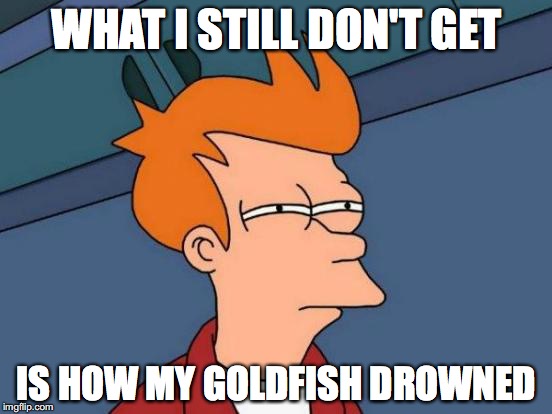 Futurama Fry Meme | WHAT I STILL DON'T GET; IS HOW MY GOLDFISH DROWNED | image tagged in memes,futurama fry | made w/ Imgflip meme maker