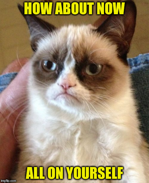 Grumpy Cat Meme | HOW ABOUT NOW ALL ON YOURSELF | image tagged in memes,grumpy cat | made w/ Imgflip meme maker