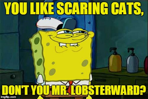 Don't You Squidward Meme | YOU LIKE SCARING CATS, DON'T YOU MR. LOBSTERWARD? | image tagged in memes,dont you squidward | made w/ Imgflip meme maker