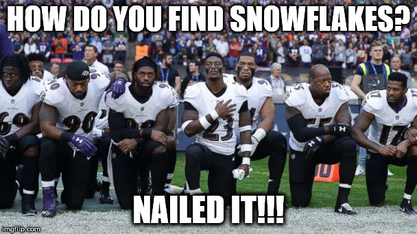 kneeling | HOW DO YOU FIND SNOWFLAKES? NAILED IT!!! | image tagged in kneeling | made w/ Imgflip meme maker