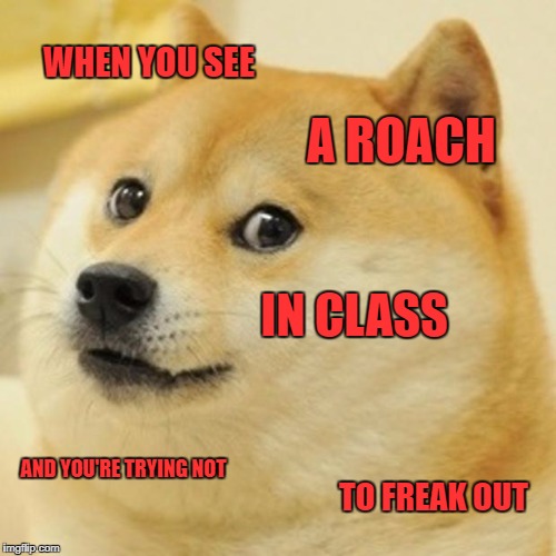 Um what | WHEN YOU SEE; A ROACH; IN CLASS; AND YOU'RE TRYING NOT; TO FREAK OUT | image tagged in memes,doge | made w/ Imgflip meme maker