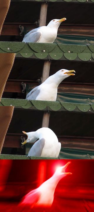 Inhaling Seagull Blank Meme Template