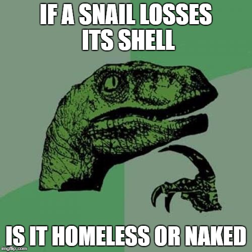 I wonder

BTW:keep those flag transformations suggestions coming!!!!!!   | IF A SNAIL LOSSES ITS SHELL; IS IT HOMELESS OR NAKED | image tagged in memes,philosoraptor | made w/ Imgflip meme maker