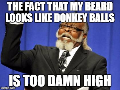 Too Damn High | THE FACT THAT MY BEARD LOOKS LIKE DONKEY BALLS; IS TOO DAMN HIGH | image tagged in memes,too damn high | made w/ Imgflip meme maker
