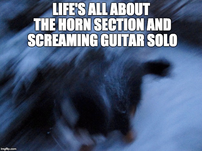Bella | LIFE'S ALL ABOUT THE HORN SECTION AND SCREAMING GUITAR SOLO | image tagged in feel the bern | made w/ Imgflip meme maker