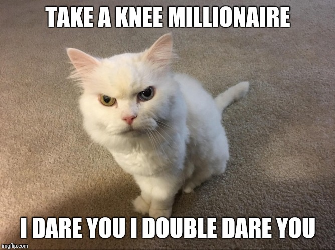 TAKE A KNEE MILLIONAIRE; I DARE YOU I DOUBLE DARE YOU | image tagged in take a knee | made w/ Imgflip meme maker