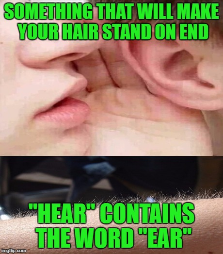 SOMETHING THAT WILL MAKE YOUR HAIR STAND ON END "HEAR" CONTAINS THE WORD "EAR" | made w/ Imgflip meme maker