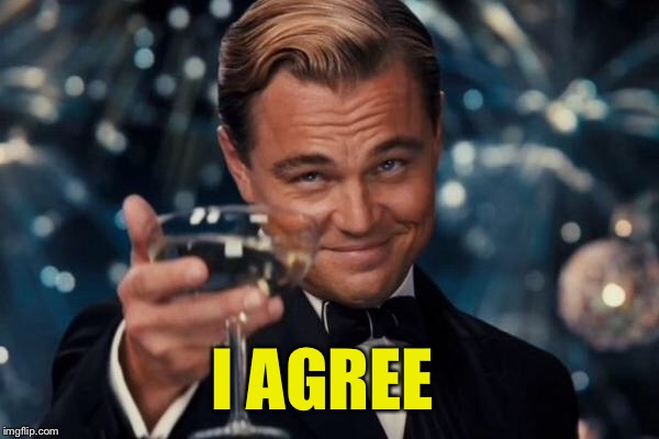 Leonardo Dicaprio Cheers Meme | I AGREE | image tagged in memes,leonardo dicaprio cheers | made w/ Imgflip meme maker