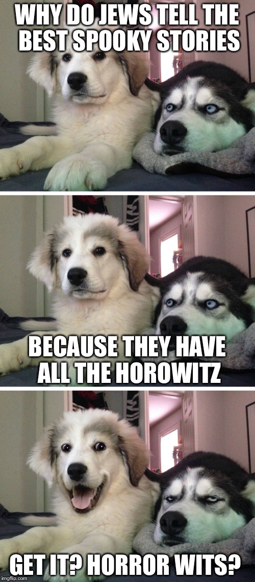 Bad pun dogs | WHY DO JEWS TELL THE BEST SPOOKY STORIES; BECAUSE THEY HAVE ALL THE HOROWITZ; GET IT? HORROR WITS? | image tagged in bad pun dogs | made w/ Imgflip meme maker
