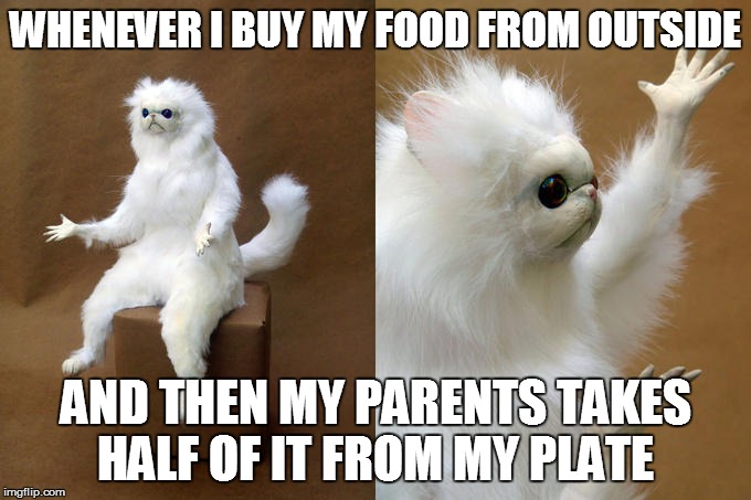 Persian Cat Room Guardian | WHENEVER I BUY MY FOOD FROM OUTSIDE; AND THEN MY PARENTS TAKES HALF OF IT FROM MY PLATE | image tagged in memes,persian cat room guardian | made w/ Imgflip meme maker