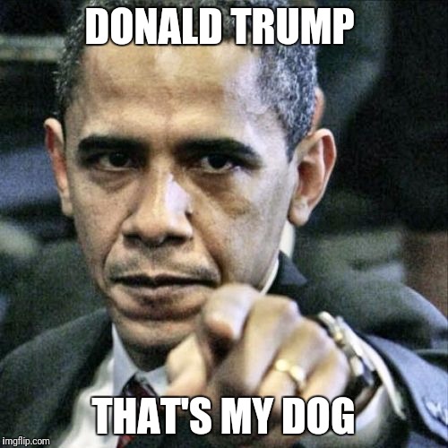 Pissed Off Obama | DONALD TRUMP; THAT'S MY DOG | image tagged in memes,pissed off obama | made w/ Imgflip meme maker