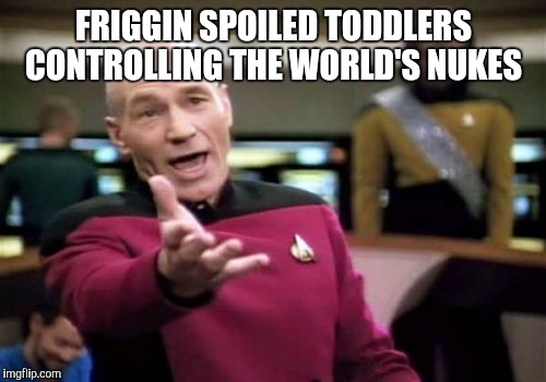 Picard Wtf Meme | FRIGGIN SPOILED TODDLERS CONTROLLING THE WORLD'S NUKES | image tagged in memes,picard wtf | made w/ Imgflip meme maker