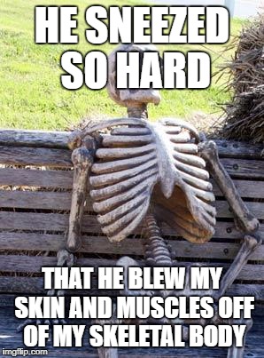 Waiting Skeleton Meme | HE SNEEZED SO HARD THAT HE BLEW MY SKIN AND MUSCLES OFF OF MY SKELETAL BODY | image tagged in memes,waiting skeleton | made w/ Imgflip meme maker