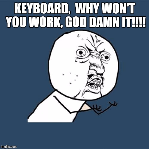 KEYBOARD,  WHY WON'T YOU WORK, GO***AMN IT!!!! | image tagged in memes,y u no | made w/ Imgflip meme maker