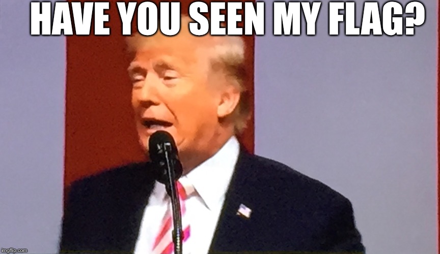 Trump days | HAVE YOU SEEN MY FLAG? | image tagged in trump days | made w/ Imgflip meme maker