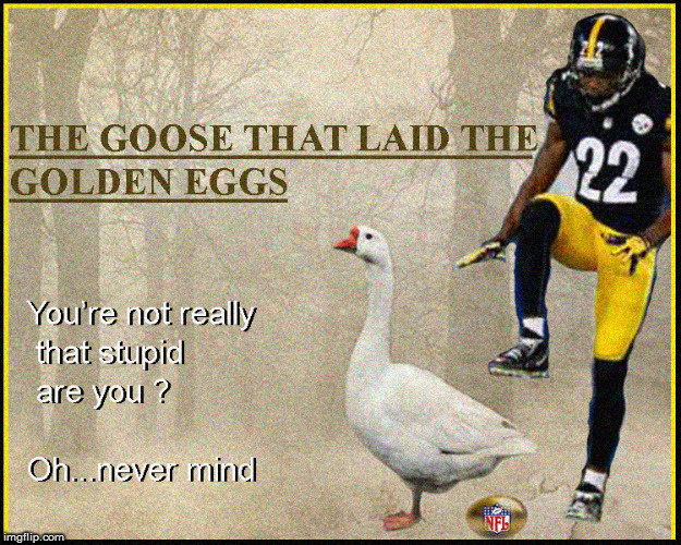 NFL- Killing the Goose... | image tagged in nfl,retarded liberal protesters,current events,donald trump approves,funny,politics lol | made w/ Imgflip meme maker